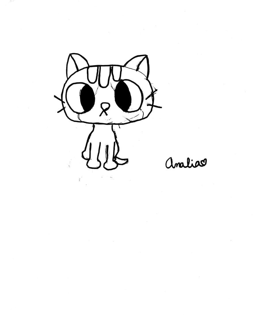 Playful Cat