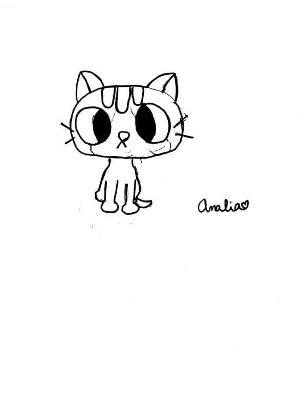 Playful Cat